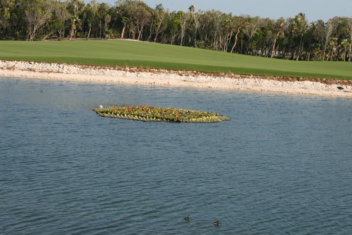 BeematsWetlands's tweet photo. This colorful Beemat adds a vibrant look to the #golfcoursepond at this resort. Functionally, it cleans the water by reducing nutrients that fuel #algae growth.
#Beemats #golf #golfcourse #pond #golfcoursemanagement #golfcoursesuperintendent #golfcoursedesign #waterquality https://t.co/u0zXX1SPIk