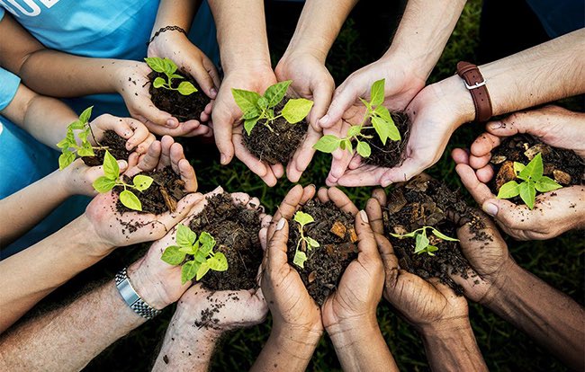 Agroverdad's tweet photo. Más de 3.500 empresas 📊🌱
Cumplió 6 años IndicAgro, la herramienta de la @BCCBA que mide sustentabilidad y responsabilidad social
>> https://t.co/bA7nA0oVFt
#Indicagro #BCCBA #RSEAgro #agro #campo #agrocordoba https://t.co/4DiUKJE4Nn