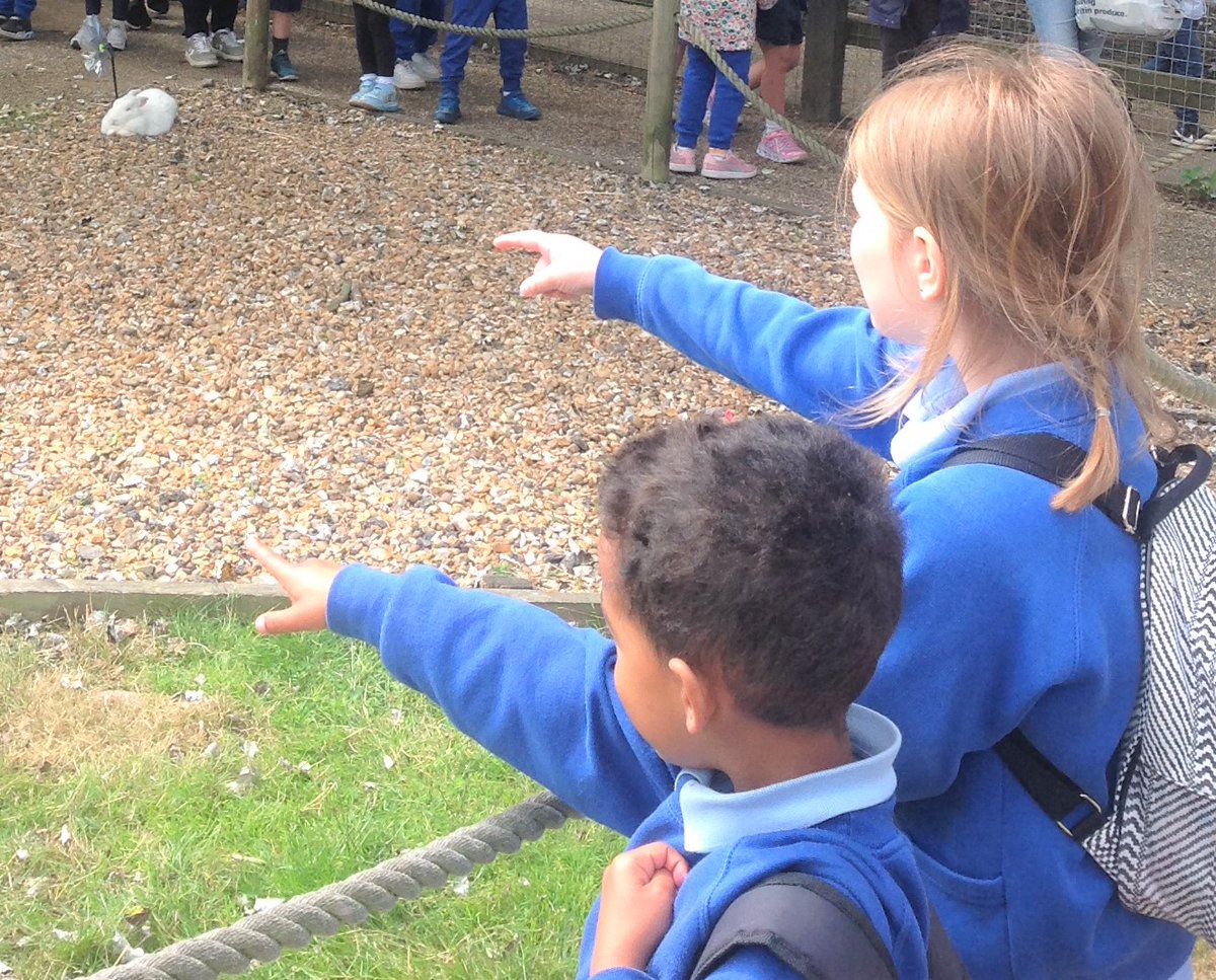 stmartinn11's tweet photo. Reception Class enjoyed a lovely day at #AldenhamCountryHouse  where they enjoyed the park, working farm, adventure playground and the 100 Aker Woods discovering the homes of Winnie the Pooh &amp; friends. https://t.co/S7O5nLe1t6