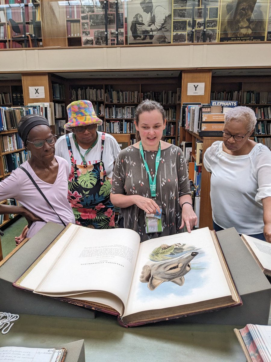 The RENA Initiative tweet media