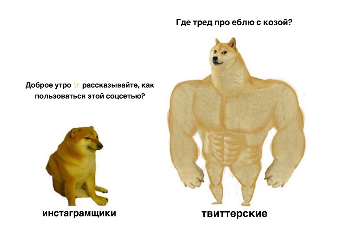 Соцсеть threds прямо сейчас