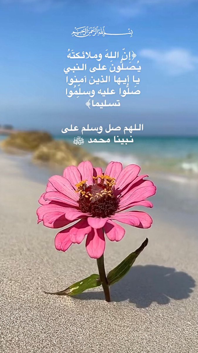 عنود 🦋 (@anwd1) on Twitter photo 