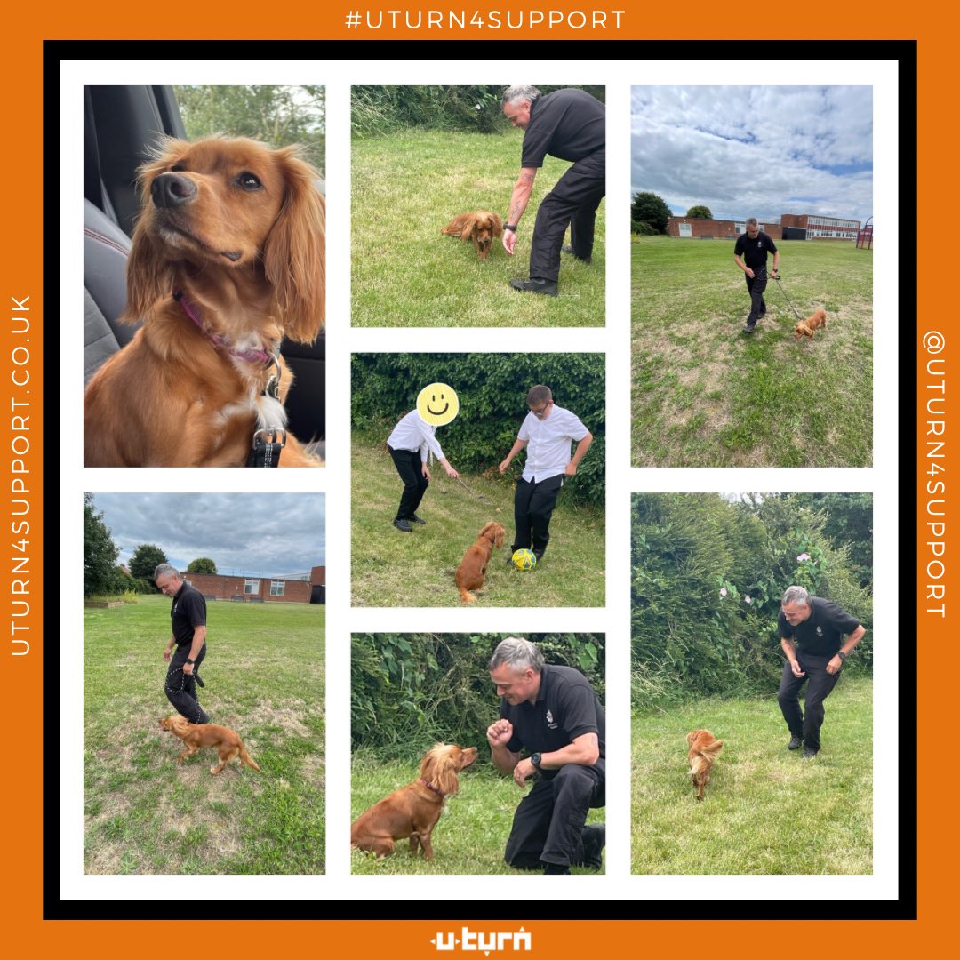 🐾🔸Beau🔸🐾

A big thank you to PC Lambert for providing us with ongoing support in helping to train UTurn’s newest recruit - Beau #OfficePup. 

#UTurn4Support #PartnershipWorking #EssexPolice #Tendring #InspiringYoungPeople #CockerSpaniel #PuppyTraining