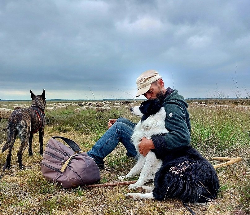 Oproep! Voor mijn schaapherder <a href="/FritsvanLaar/">Frits van Laar</a>, mijzelf én 2 werkhonden zoeken wij een overnachtingsadres van 23-7 t/m 4 of 5-8 in #Drenthe max 30 km #Dwingelderveld ivm werk. Een huisje/chalet/stacaravan o.i.d., eigen sanitair &amp; keuken. Boerderijtje (koop/huur) mag ook 😉 delen=❤️