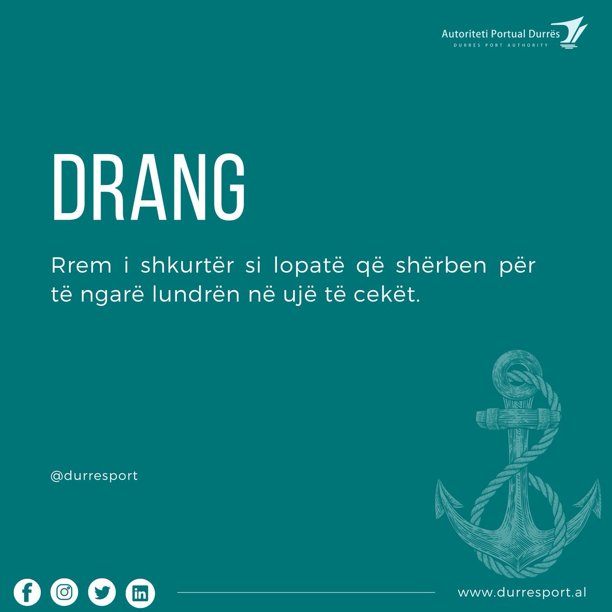 DurresPort's tweet photo. 📚 Fjalori i detarisë⚓️

Dran/g,-gu, term i përdorur në gjuhën detare, i cili i referohet një rremi të shkurtër si lopatë që shërben për të ngarë lundrën në ujë të cekët.

psh: Drang i pupës të lundrës.

#DetariaShqip🇦🇱⚓️📚#fjalorthi
#enciklopedi #detari https://t.co/phmnfAkPYd