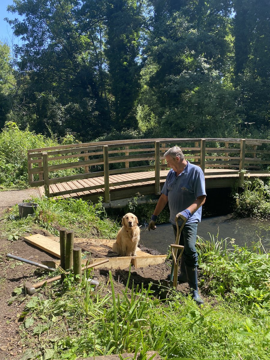 This week, one team of volunteers cut back rampant vegetation encroaching onto paths. The other team installed dog steps by the bridge over Brookly Stream (quality control checked by Ruby 🐕🐾🐾)