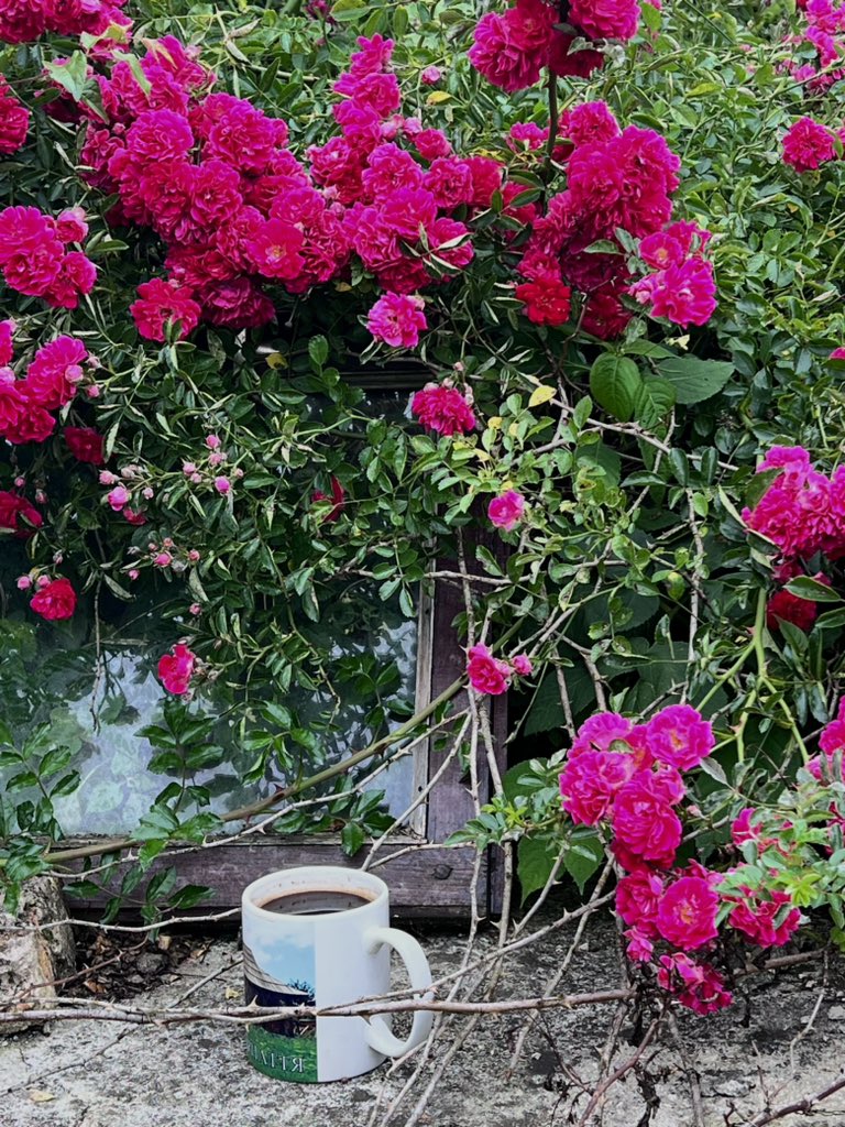 Yaroslava tweet media