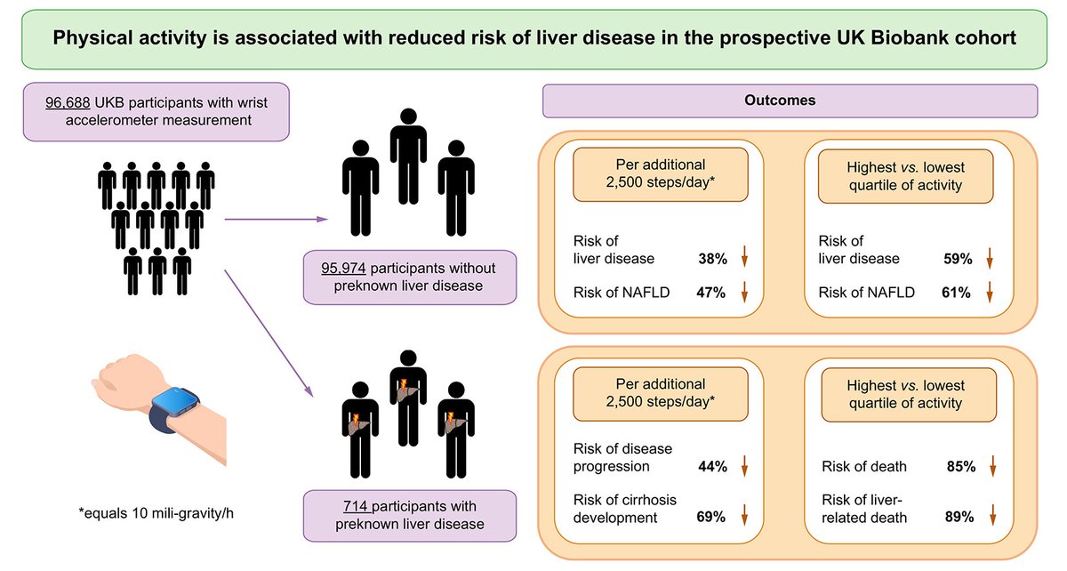 TheLiverDoc™ tweet media