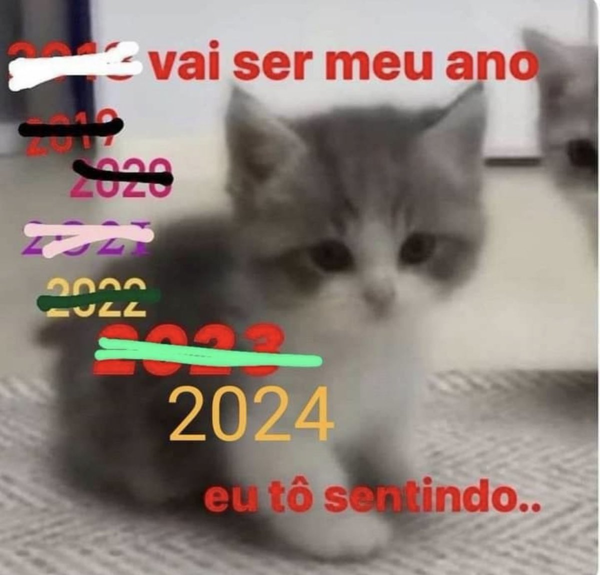 PAIVA tweet media
