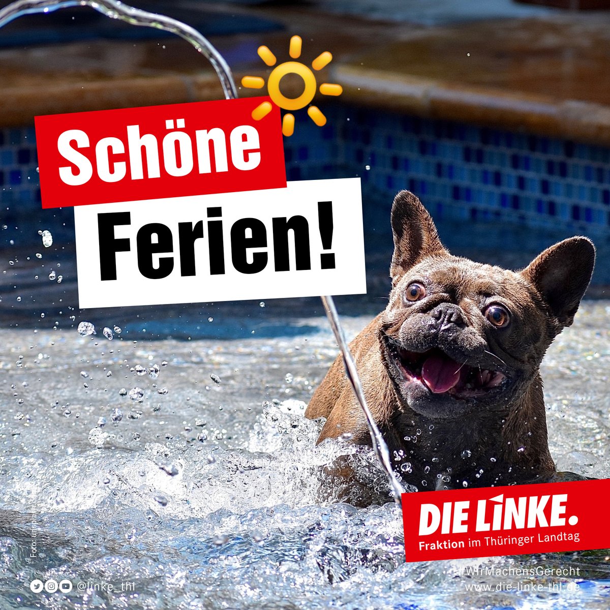 Sommer, Sonne, Freibad ☀️ Nach einem langen Schuljahr wünscht Die <a href="/Linke_Thl/">Die Linke im Thüringer Landtag</a> allen Schülerinnen und Schülern sowie ihren Eltern (und allen süßen Hunden 🐶 da draußen) eine entspannte und erholsame Ferienzeit 🌴 Danke allen engagierten Pädagoginnen und Pädagogen für ihre Arbeit!