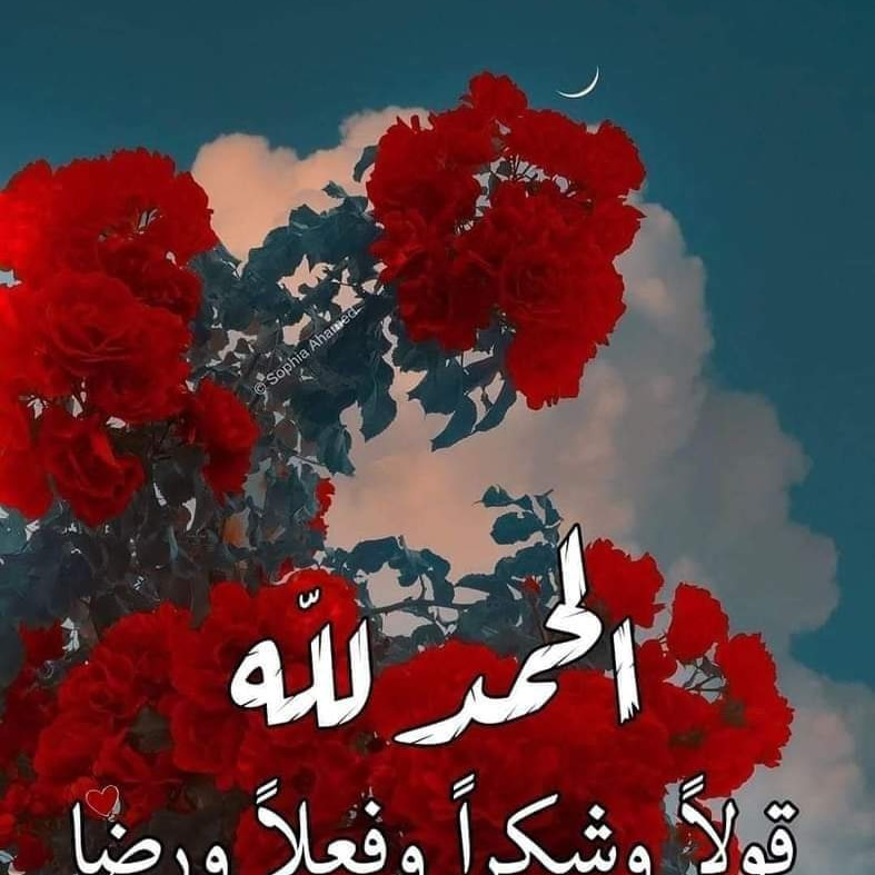 amola (@lala11765936) on Twitter photo 