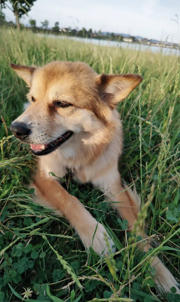 バウは毎日幸せ