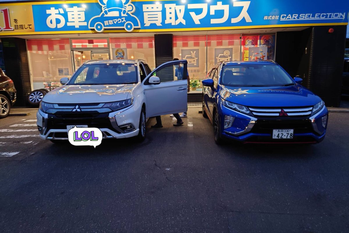 ヤマランダー tweet media