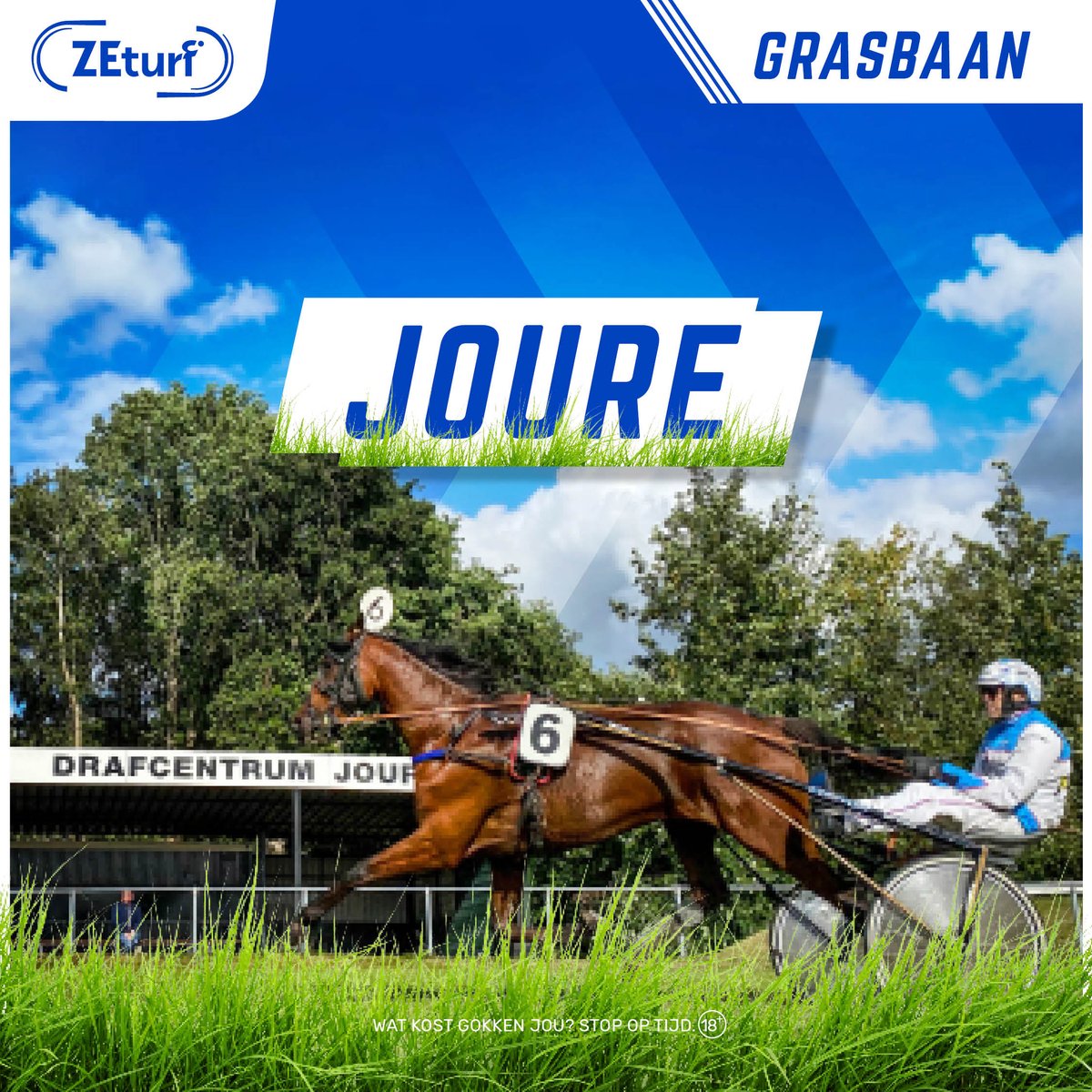 Slechts 2x per jaar strijkt het Nederlandse drafcircus neer in het Friese Joure. Zorg dat je erbij bent. Spektakel gegarandeerd!
#Swipedei #nutsbaan #paardenrace #draverij
