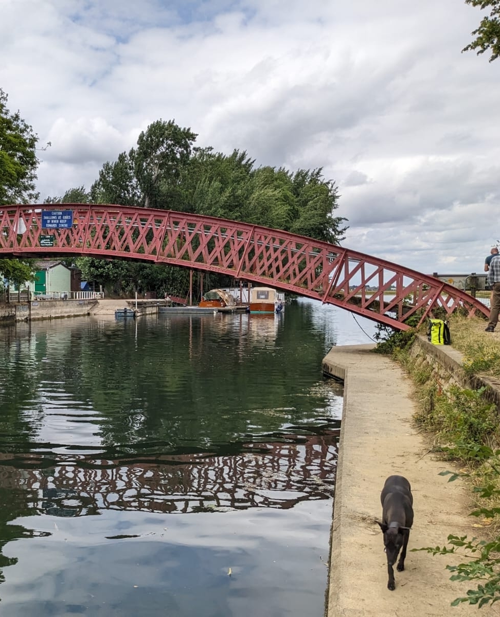 dr_juliefreeman's tweet photo. Photos from yesterday on Medley Bridge on the outskirts of Oxford. 

I recorded underwater with a hydrophone, recorded the bridge with contact microphones and then recorded the general ambience of people using the bridge. #SonicArt #AnotherPresent 

https://t.co/8a6qTRMYjS https://t.co/RA2N1ecVHb