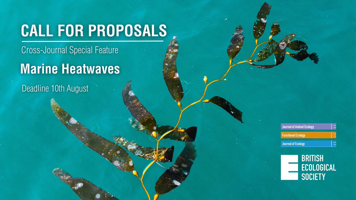 Pol (@polcapdevila90) on Twitter photo 🚨SF Alert🚨
Does your work involve Marine heat waves🔥?
Consider sending your work to our cross-journal special feature organised by the <a href="/AnimalEcology/">Journal of Animal Ecology</a>, <a href="/JEcology/">Journal of Ecology</a>, and <a href="/FunEcology/">Functional Ecology</a>, and guest edited by <a href="/DaniGomezGras/">Daniel Gómez-Gras</a>, <a href="/crislinaresibz/">Cristina Linares</a>, @djm_MEEG and myself! 🚨SF Alert🚨
Does your work involve Marine heat waves🔥?
Consider sending your work to our cross-journal special feature organised by the <a href="/AnimalEcology/">Journal of Animal Ecology</a>, <a href="/JEcology/">Journal of Ecology</a>, and <a href="/FunEcology/">Functional Ecology</a>, and guest edited by <a href="/DaniGomezGras/">Daniel Gómez-Gras</a>, <a href="/crislinaresibz/">Cristina Linares</a>, @djm_MEEG and myself!
