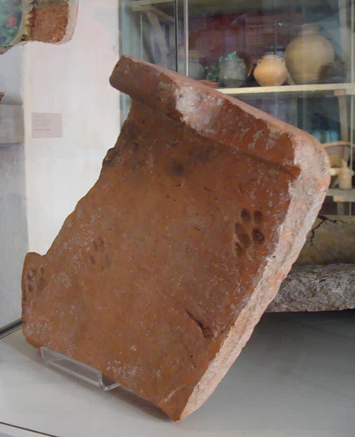 ThanatosArchive's tweet photo. About 2000 years ago a cat walked across this piece of Roman roof tile before it dried, leaving its prints behind 🐈 🐾 

#Caturday #CatsofTwittter https://t.co/rWvAbIOday