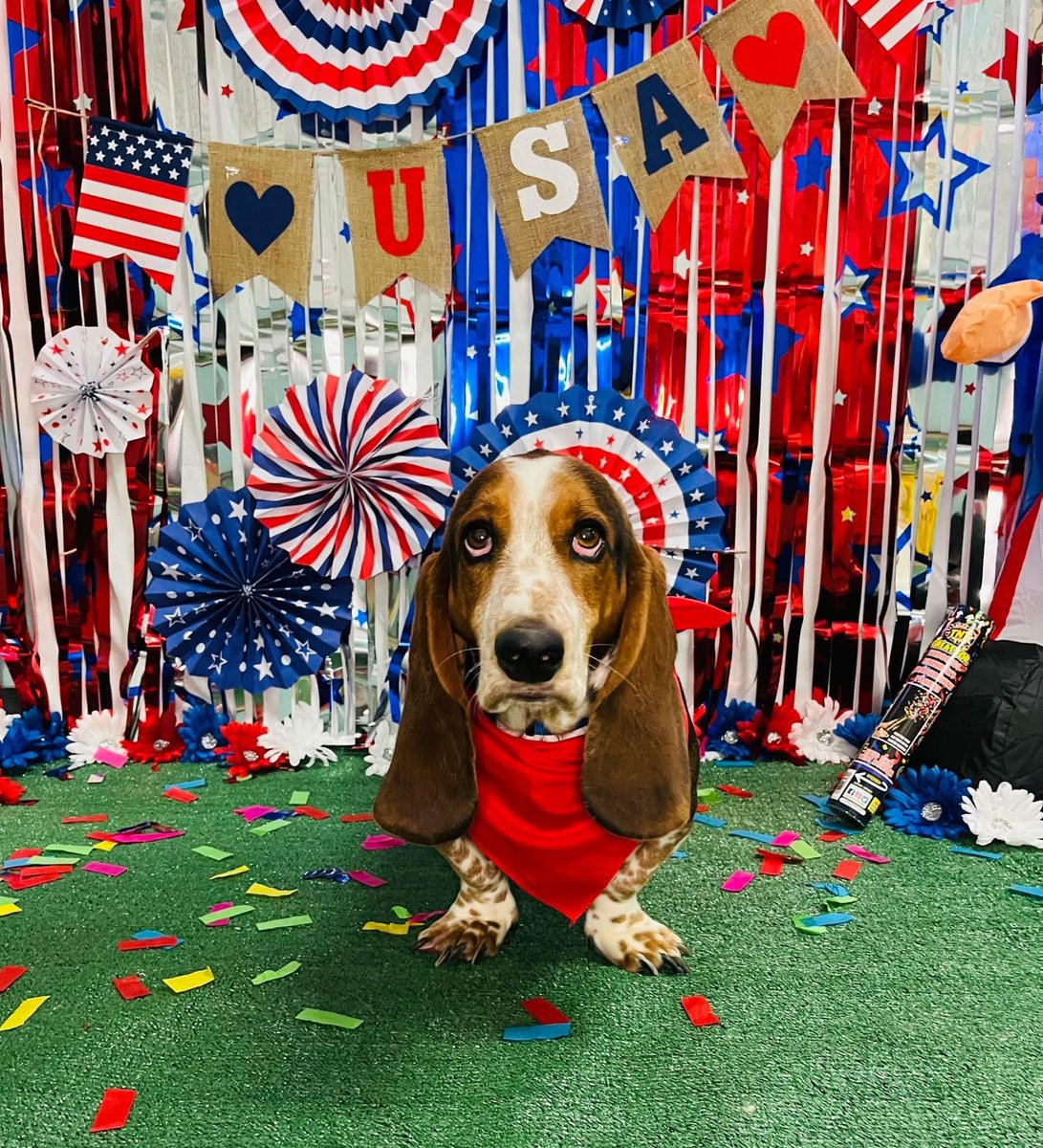 vandrylolz's tweet photo. @bunsenbernerbmd This is Rainey, aka Rainey Hut, aka Rainey Hut General, aka Rainey the Hut, aka Pizza Hut 🤷🏻‍♀️ https://t.co/XC4nMXGefA