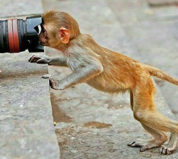 ThulasChyros's tweet photo. @sibongile_mag Abaxhweee https://t.co/7Jh93Aa7ab