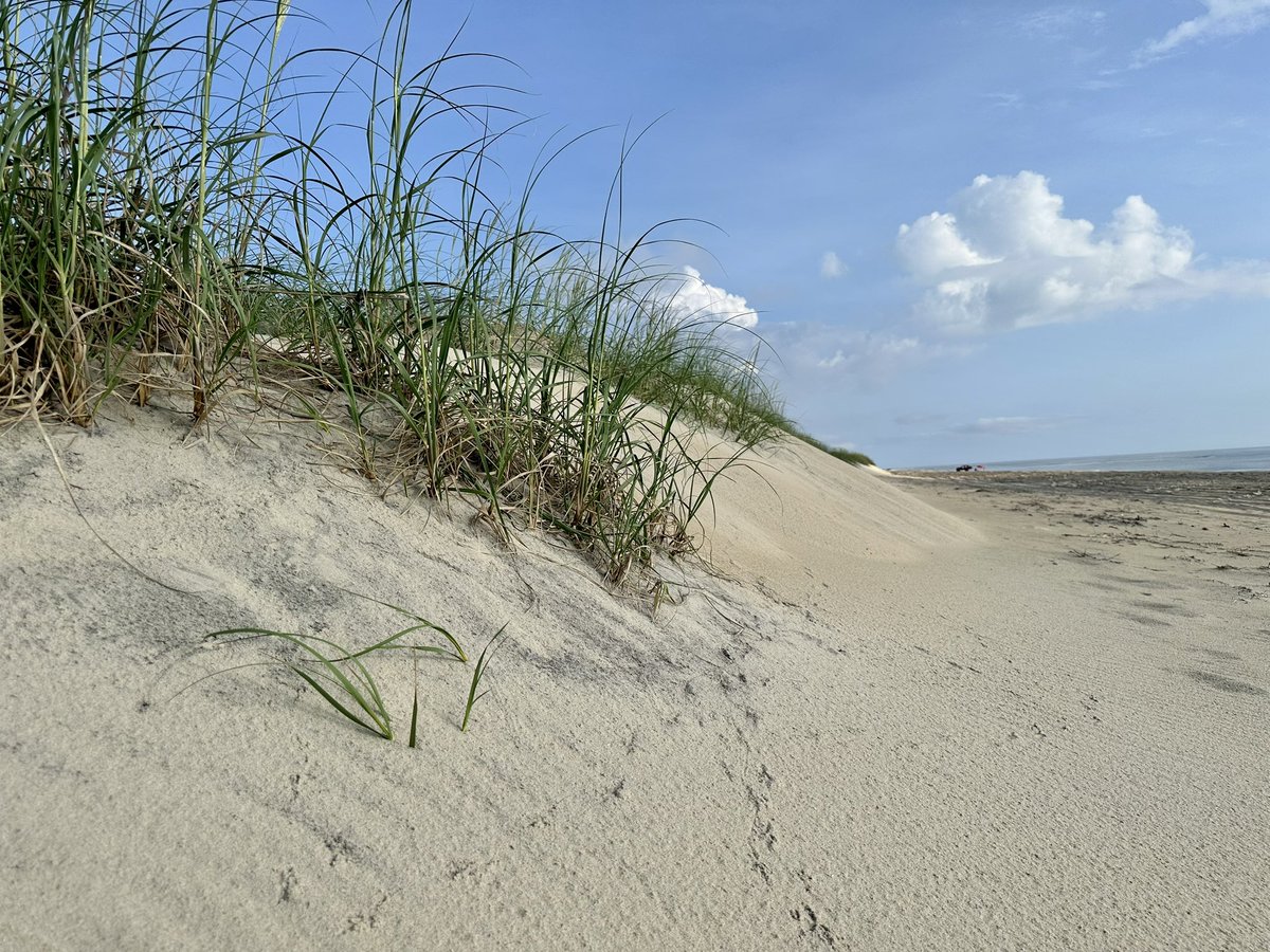 🇺🇦Mark NAFOczuk🌻 tweet media