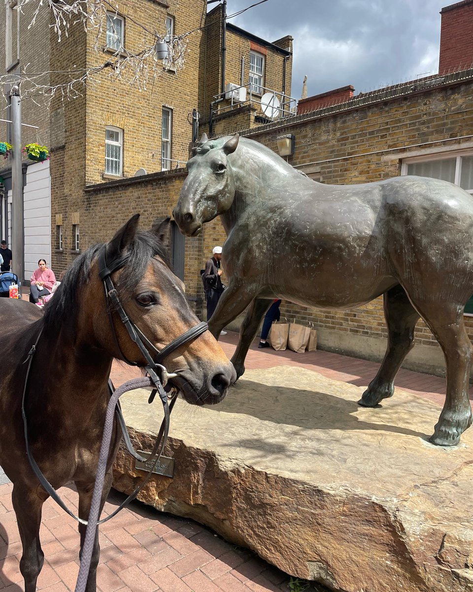 EalingRiding's tweet photo. We met this statue horse who didn’t look too pleased to see us while roaming around Ealing Broadway.
Keep checking back on our social media to see what other exciting places we visit. https://t.co/vAc2aVWH82