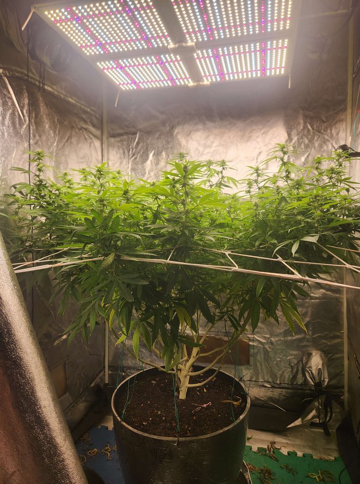 DILLHOLECOOZE tweet media