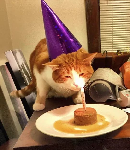 13 minutes before the party begins!