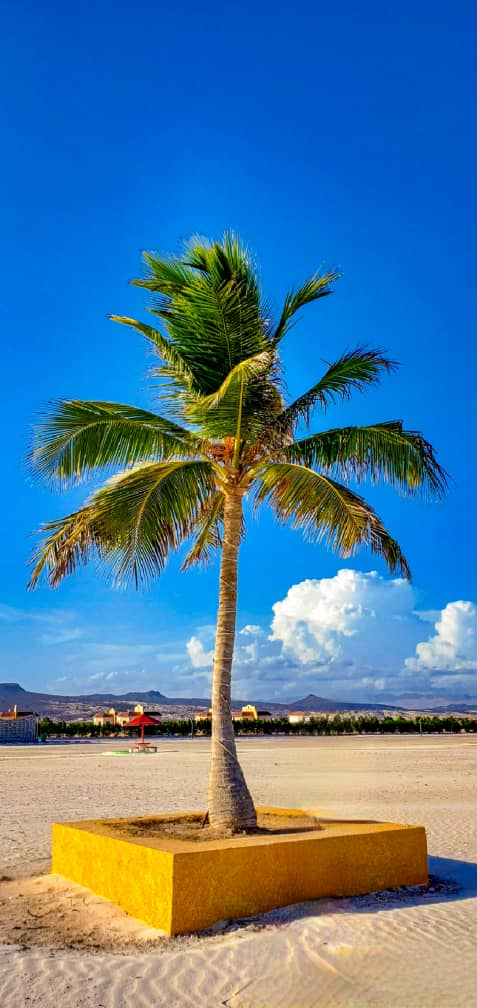 #قنا #شبوة
#جمعةمباركة