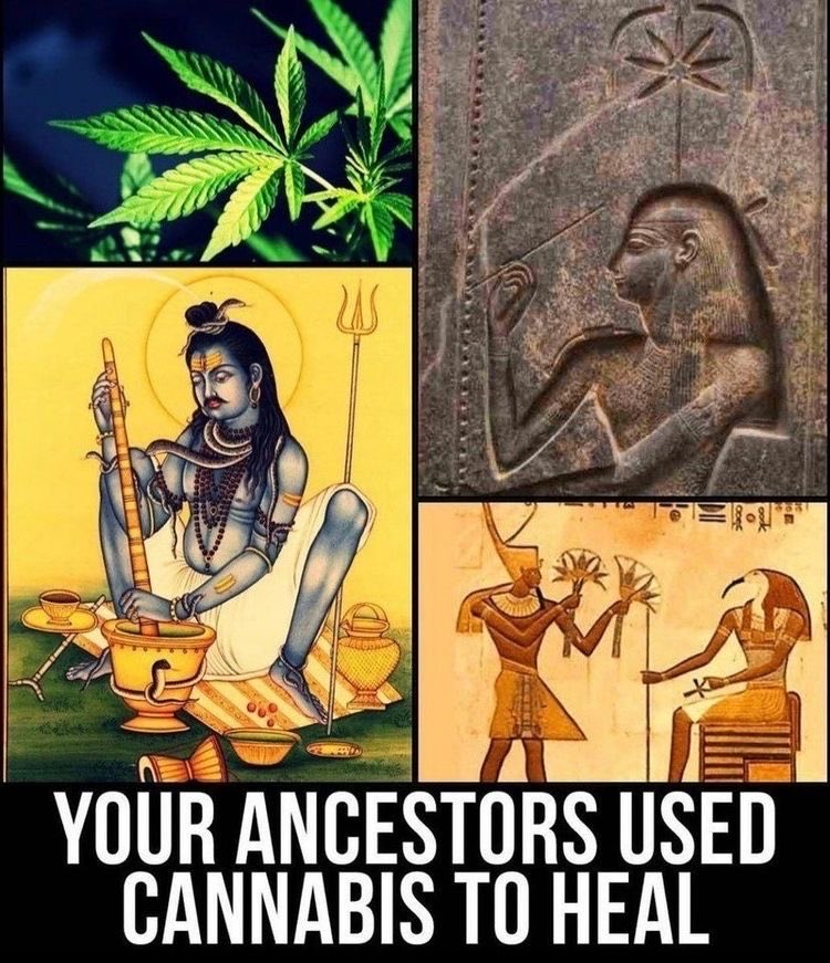 SannehLife's tweet image. Your Ancestors used Cannabis to Heal. #Medicalmarijuana
Cannabis Pineal Gland activation is an ancient Knowledge #Harmonizeyourspirit #Pinealglandactivation