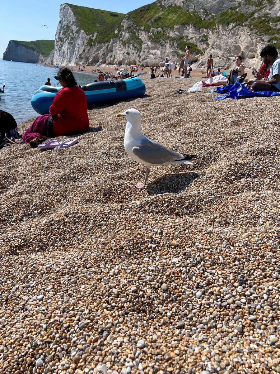 datemadd's tweet image. I like to travel, I got life experiences😊