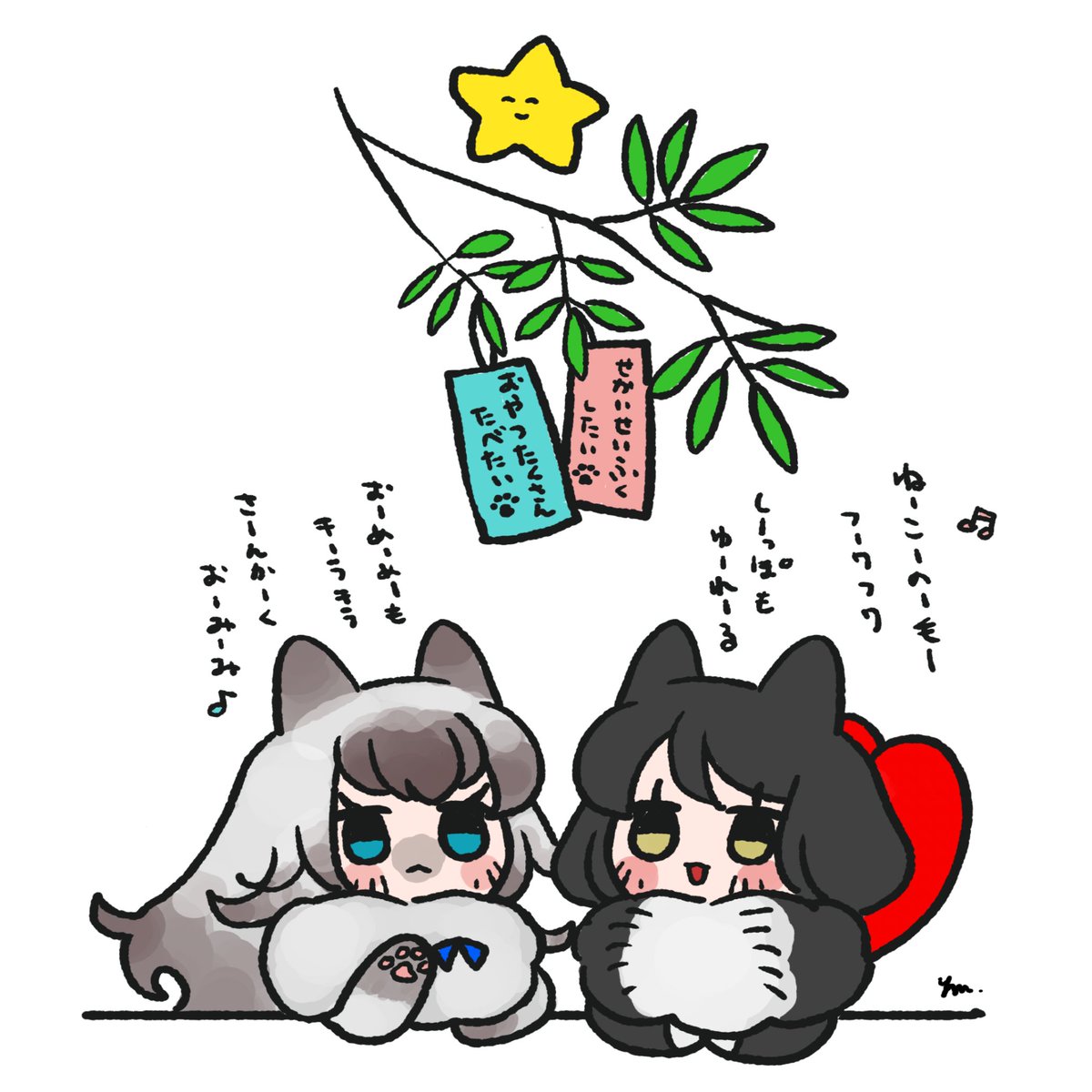 🐱🐱🎋⭐️
#ねこち 