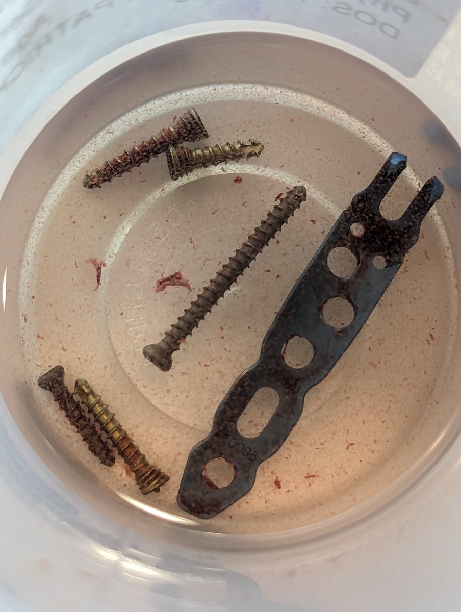 Dr. Lauren Diepenbrock🐞👩🔬 tweet media