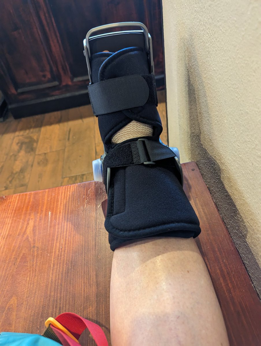 Dr. Lauren Diepenbrock🐞👩🔬 tweet media