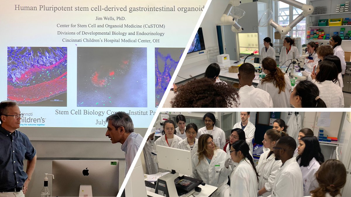 Institut Pasteur Education (@pasteuredu) on Twitter photo Almost the end of the #ASCB course at <a href="/institutpasteur/">Institut Pasteur, since 1887</a>. Thanks to Jim Wells <a href="/JimWellsLab/">Jim Wells Lab</a> for his talk. Another day of learning about stem cells for our 14 students. #StemCells #Organoids #course #ASCBcourse Almost the end of the #ASCB course at <a href="/institutpasteur/">Institut Pasteur, since 1887</a>. Thanks to Jim Wells <a href="/JimWellsLab/">Jim Wells Lab</a> for his talk. Another day of learning about stem cells for our 14 students. #StemCells #Organoids #course #ASCBcourse