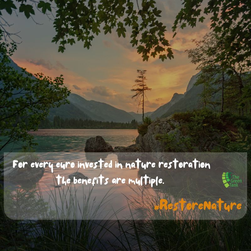 The_GreenTank's tweet image. Busting the @EPPGroup myths on #naturerestoration, more than 6000 scientists provide the facts👇🔍 
We co-signed the joint letter and call on all Greek MEPs to support the EU #NatureRestorationLaw in next week's #EPplenary vote. 

bit.ly/3O4XveU 
#RestoreNature @GuyPeer3