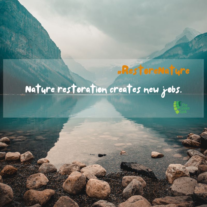 The_GreenTank's tweet image. Busting the @EPPGroup myths on #naturerestoration, more than 6000 scientists provide the facts👇🔍 
We co-signed the joint letter and call on all Greek MEPs to support the EU #NatureRestorationLaw in next week's #EPplenary vote. 

bit.ly/3O4XveU 
#RestoreNature @GuyPeer3