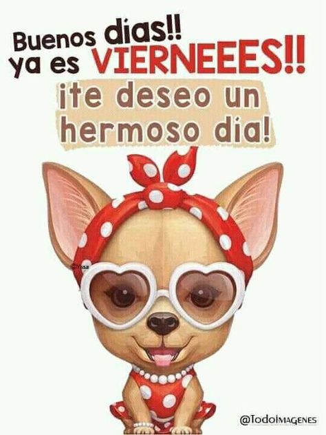 Siii
😎🤘🏼🧿✨
