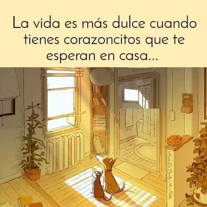 Buenos días Feliz viernes 🐾🐶❤️