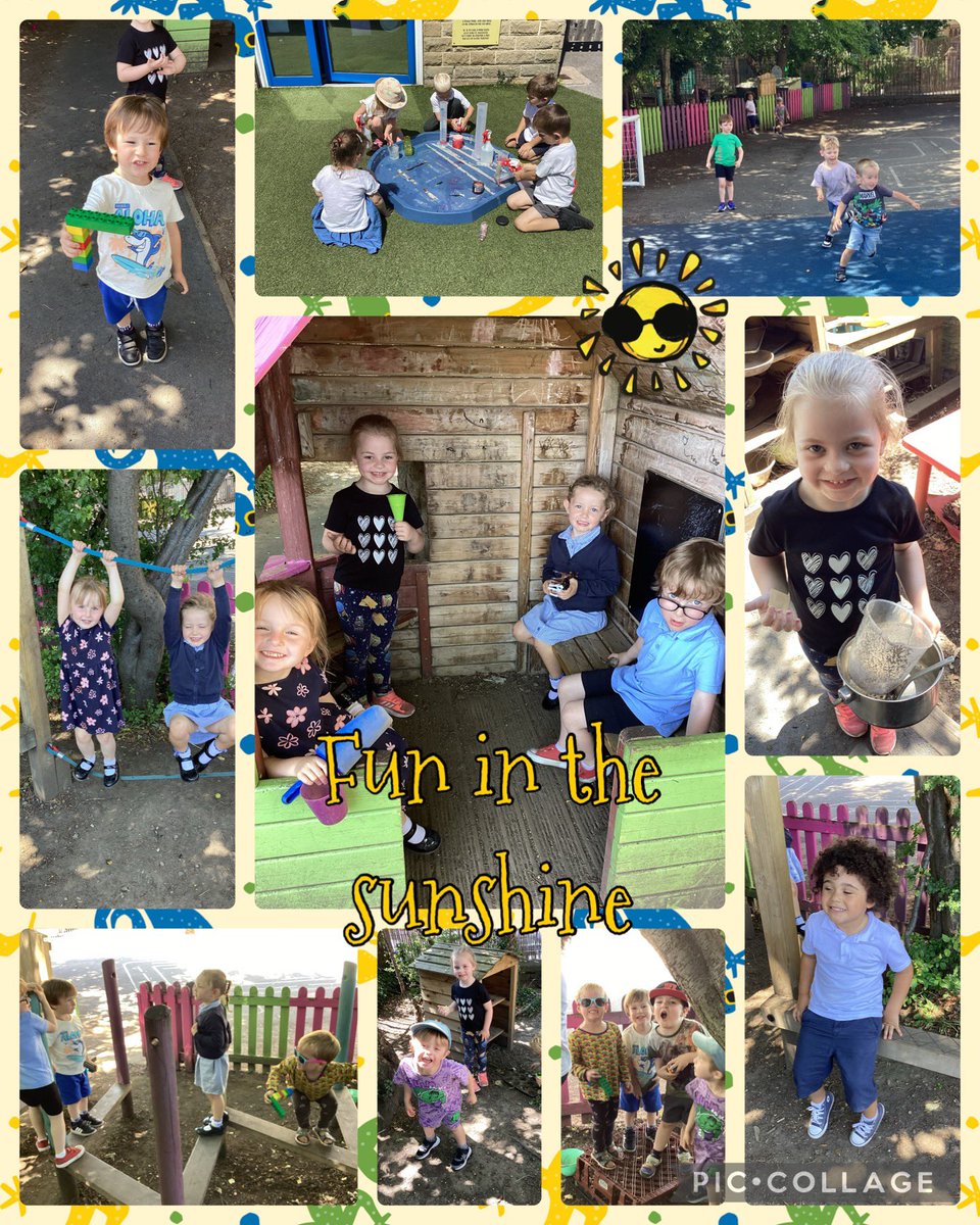 The Bridge tweet media