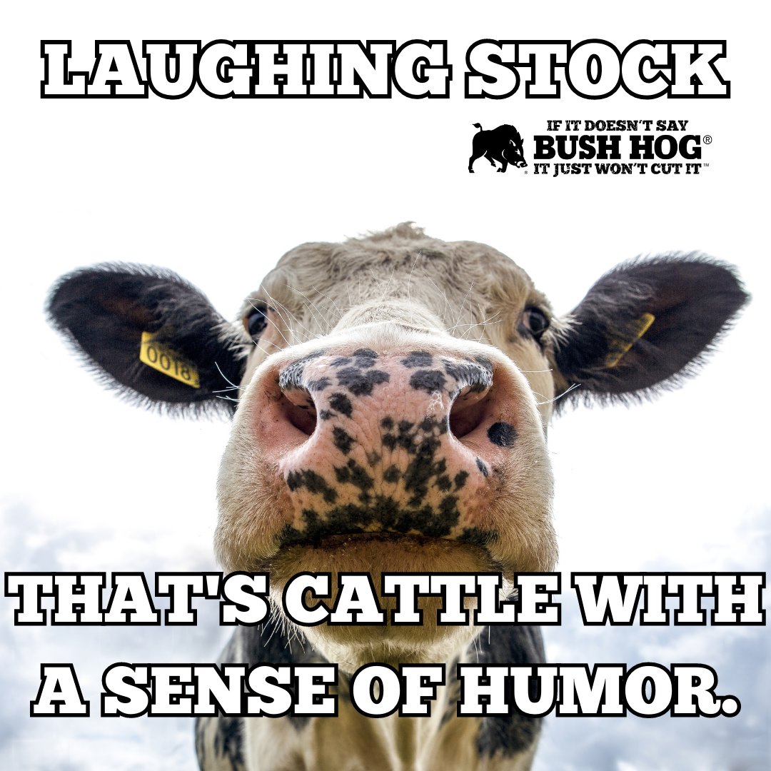 BushHogLLC's tweet image. 🐗Don't settle for a laughing stock – go for the real deal. Choose Bush Hog and become the talk of the herd. 🌟🐄 Get ready to mow like a boss and leave the pasture looking "UDDERLY" amazing! 😄✂️ bushhog.com #BushHog #FlexWing #Moo-vingOnUp