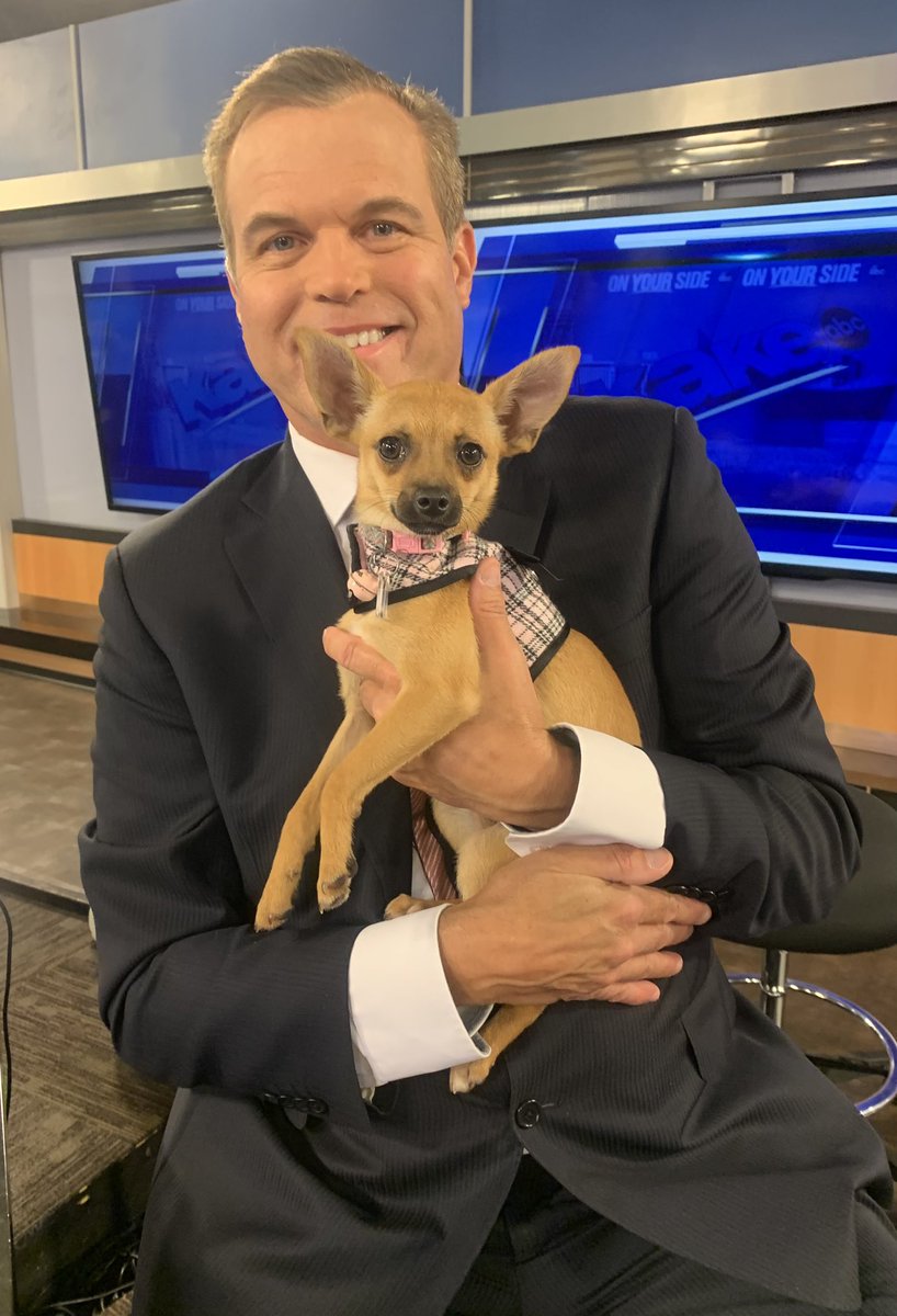 Meet our Pet of the Week, Maggie.  You want a sweet pup who fits in your pocket?  This 5 month old chihuahua is it!  She can be yours by contacting the folks at the Wichita Animal Action League.