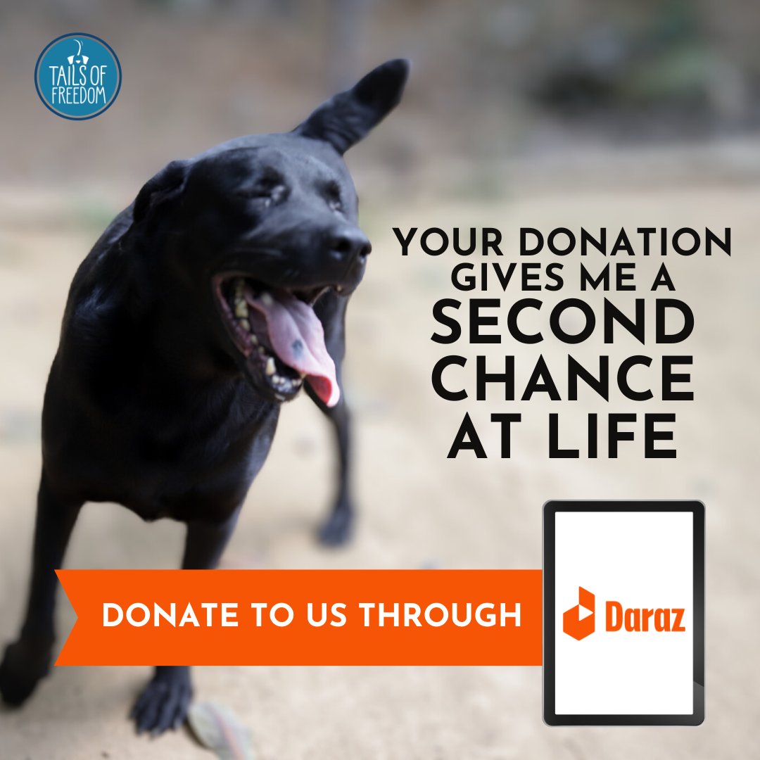 tailsoffreedom1's tweet photo. If bank transfers aren't your thing - we've linked up with Daraz Cares to make donating easier! To donate, click the link below and donate any package you like!

https://t.co/FGDFAX4tr1

#AnimalRescue #DogRescue #Donate #Daraz #SriLanka https://t.co/q5EVsoxDKK