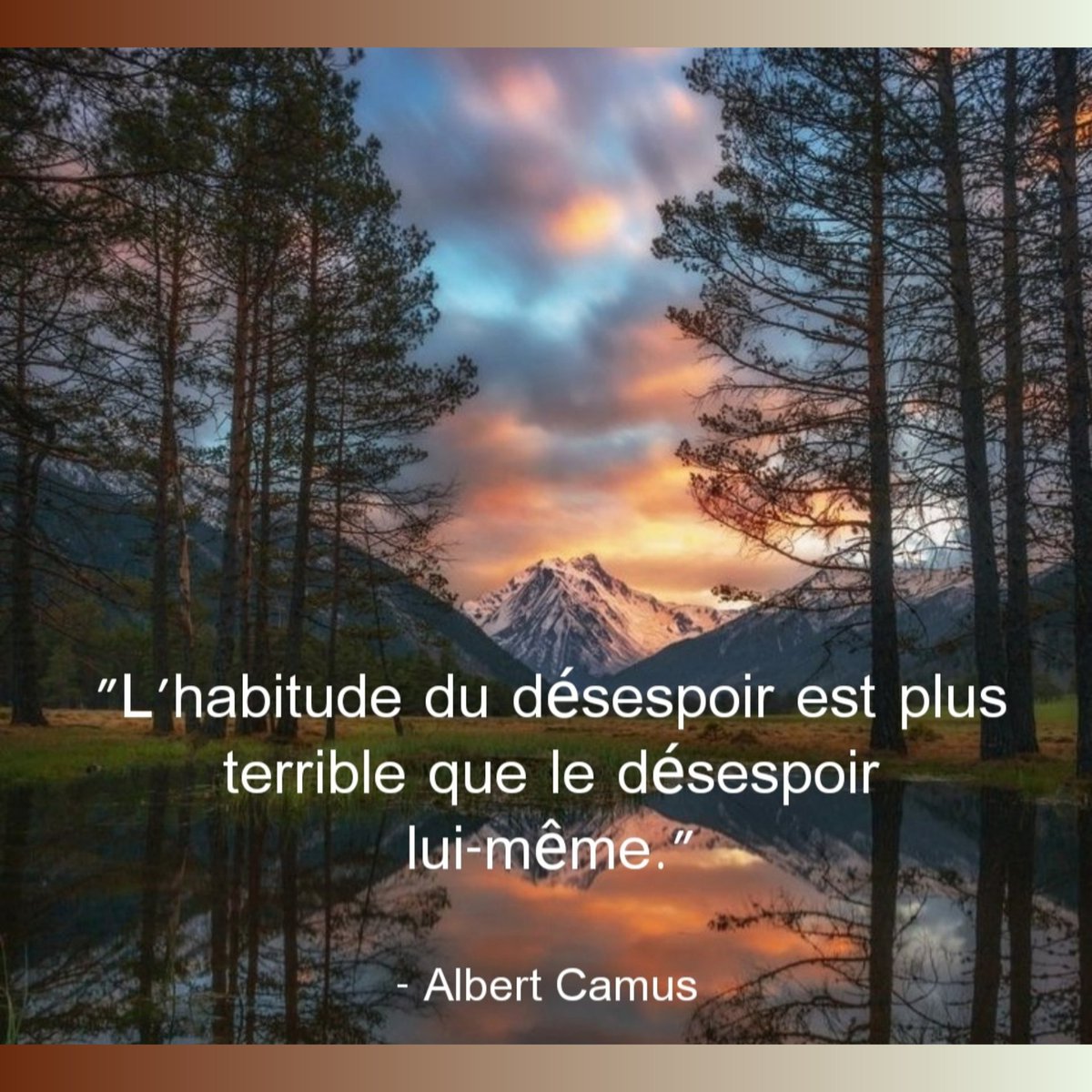RoyaumeMots's tweet photo. #citation #quote https://t.co/ZH5na0N9BY