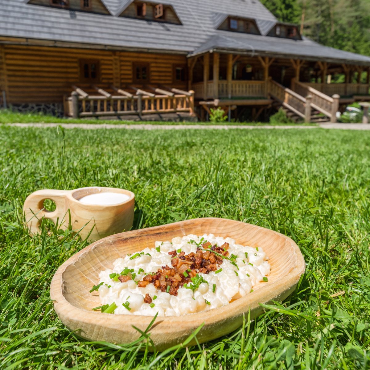 🇸🇰🍽️ Hello from Slovakia! 

Let us introduce you to bryndzové halušky, one of our favorite dishes! These simple yet delicious dumplings are made with potato dough and topped with creamy sheep cheese called bryndza. 

#slovakia #slovakfood #halusky #visitslovakia