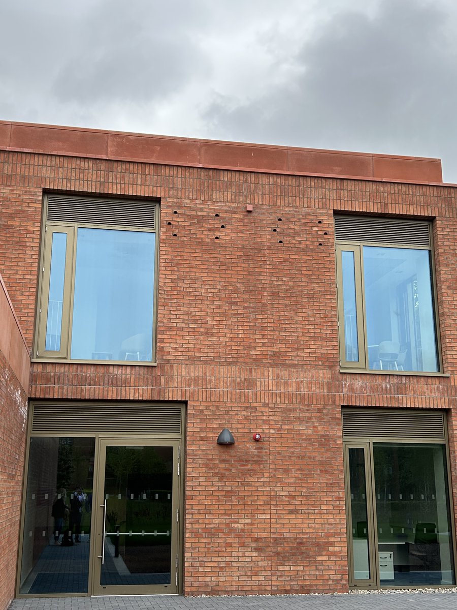 Green at Queen's tweet media