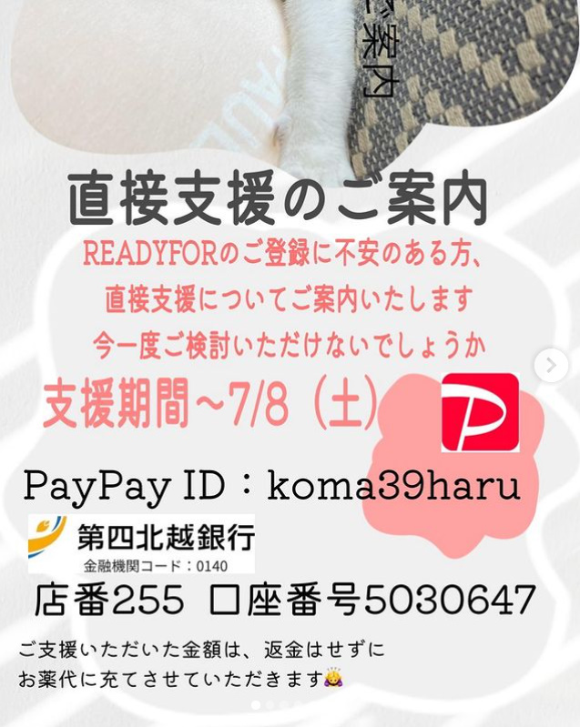 緊急！🆘📢残り２６時間を切りました！😭💦
 #拡散希望
🍀FIP(猫伝染性腹膜炎)闘病中の【はる君】にどうかご支援お願い致します🙇‍♀️🙇‍♂️🙇

🆘達成率７５％💦💦
🆘目標まで199,000円💦💦💦
⚠️目標達成しないと支援金が受け取れません😭お願い致します🙏

詳細はこちら⤵️
readyfor.jp/projects/koma3…