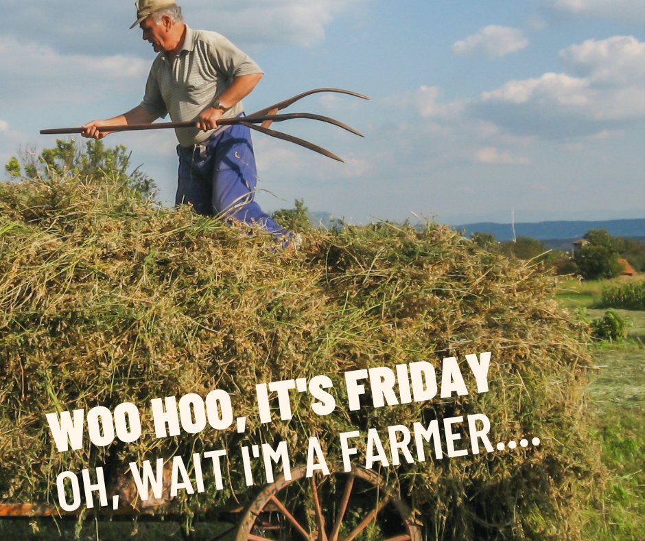 Have a great Friday! #tgif