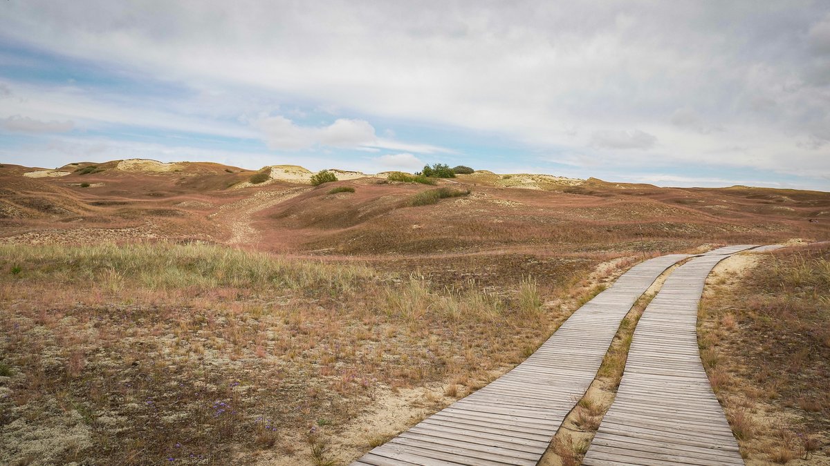 RESTORE4Cs (@restore4cs) on Twitter photo The end of <a href="/RESTORE4Cs/">RESTORE4Cs</a>' #GeneralAssembly was marked by the consortium visit to the local #CasePilot site of the project, also a #UNESCO #WorldHeritageSite: the Curonian Lagoon and Spit 🌾
#HorizonEU #Restoration #Conservation #Wetlands #Biodiversity #Ecosystem #RestoreWetlands The end of <a href="/RESTORE4Cs/">RESTORE4Cs</a>' #GeneralAssembly was marked by the consortium visit to the local #CasePilot site of the project, also a #UNESCO #WorldHeritageSite: the Curonian Lagoon and Spit 🌾
#HorizonEU #Restoration #Conservation #Wetlands #Biodiversity #Ecosystem #RestoreWetlands