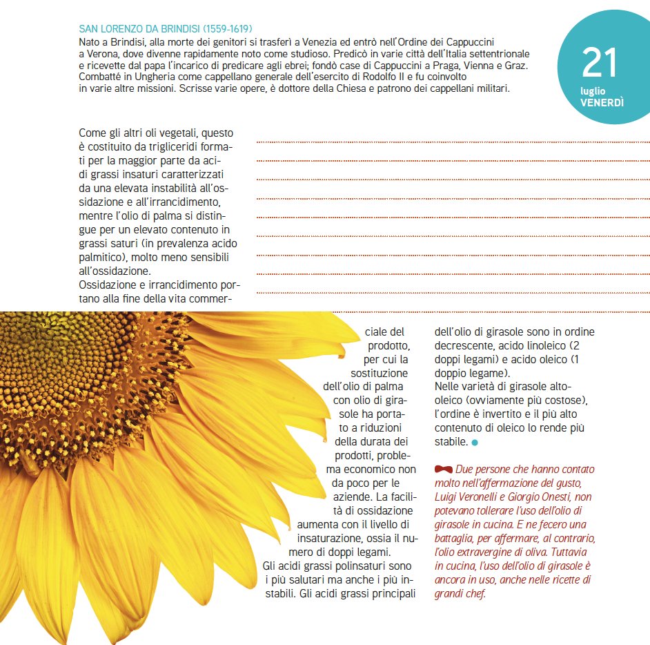 Buongiorno, oggi è San Lorenzo da Brindisi. #Adesso vi racconta le caratteristiche dell'olio di girasole e del perché è diventato un sostituito all'olio di palma.