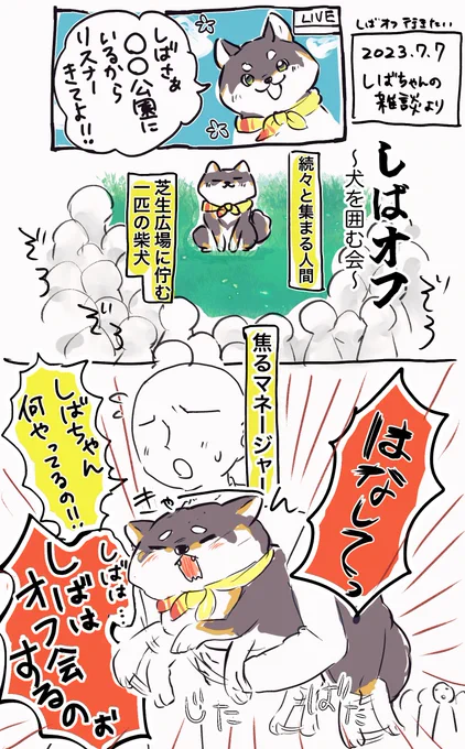 しばちゃんの七夕の雑談より🐾
#しばのドッグタグ 
